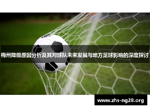 梅州降级原因分析及其对球队未来发展与地方足球影响的深度探讨