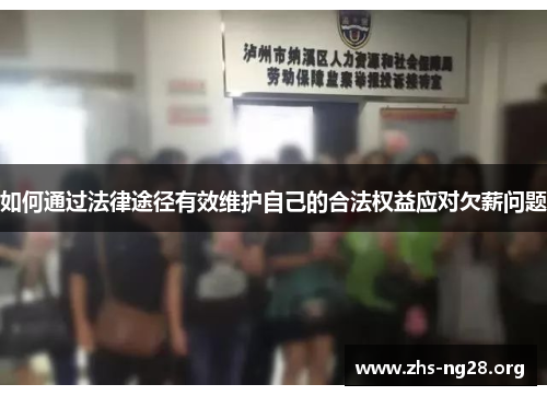 如何通过法律途径有效维护自己的合法权益应对欠薪问题