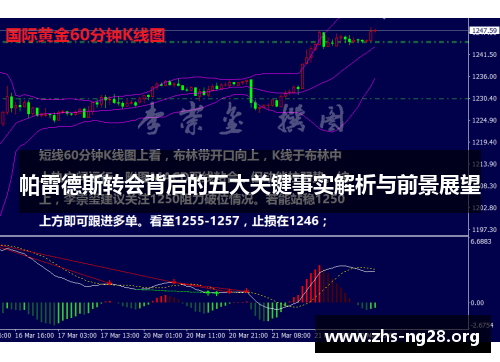 帕雷德斯转会背后的五大关键事实解析与前景展望