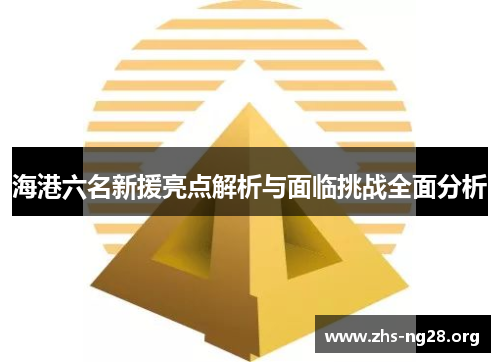 海港六名新援亮点解析与面临挑战全面分析