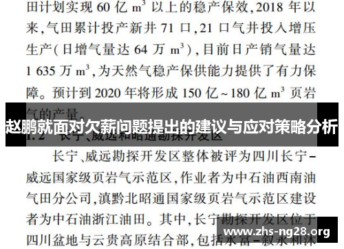 赵鹏就面对欠薪问题提出的建议与应对策略分析