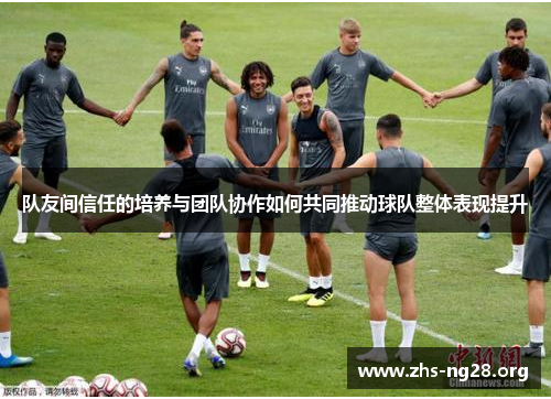队友间信任的培养与团队协作如何共同推动球队整体表现提升