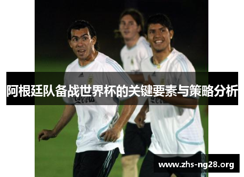 阿根廷队备战世界杯的关键要素与策略分析